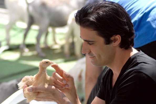 Gilles Marini