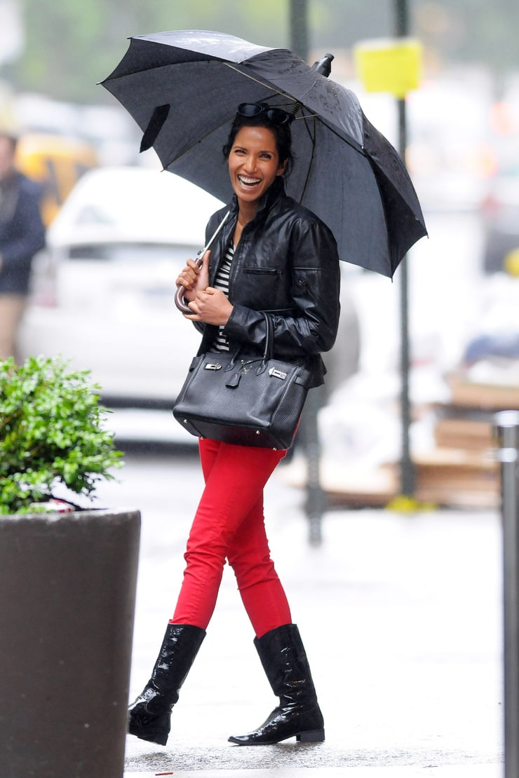 Picture of Padma Lakshmi