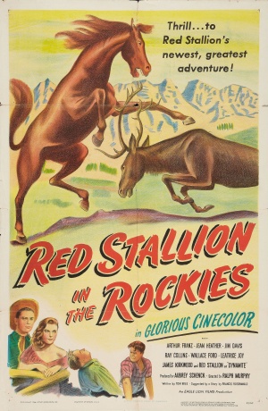 Red Stallion in the Rockies