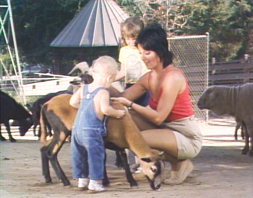 Joyce DeWitt