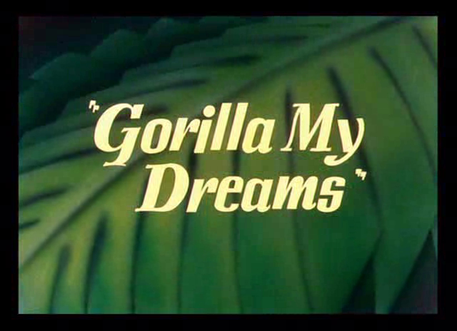 Gorilla My Dreams