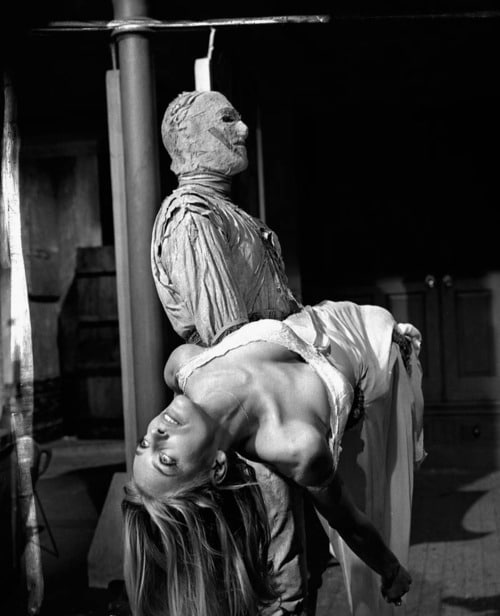 The Mummy's Shroud The Mummy's Shroud
