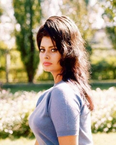 Sophia Loren