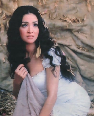 Hanan Turk Hanan Turk