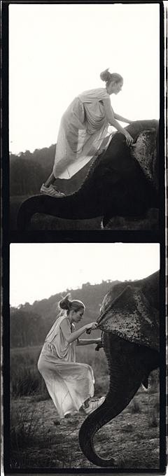 Kate Moss
