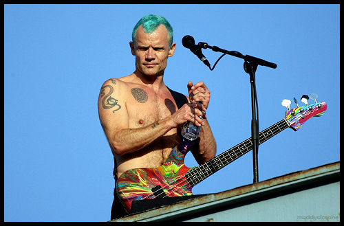 Flea