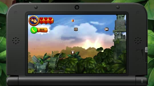 Donkey Kong Country Returns 3D