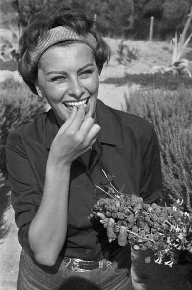 Sophia Loren Sophia Loren