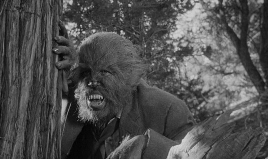 The Werewolf The Werewolf
