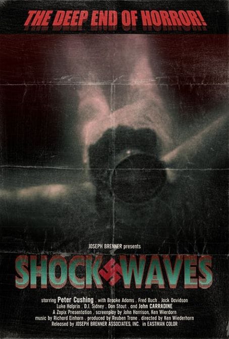 Shock Waves