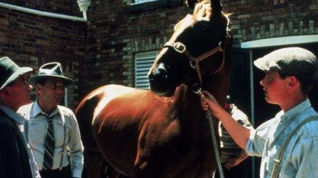 Phar Lap