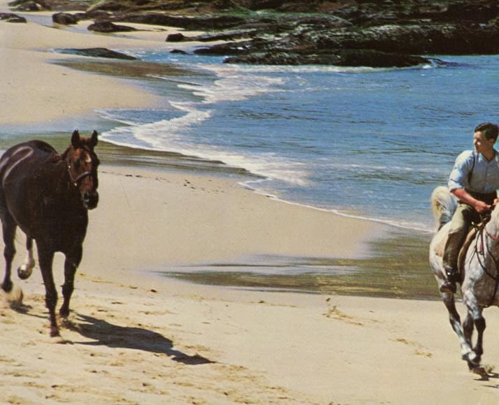 Phar Lap