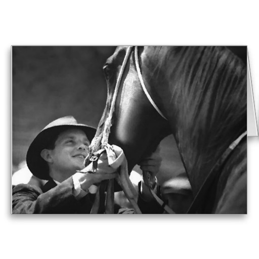 Phar Lap Phar Lap