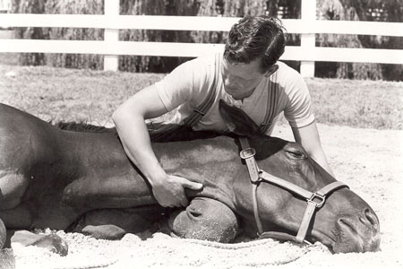 Phar Lap Phar Lap