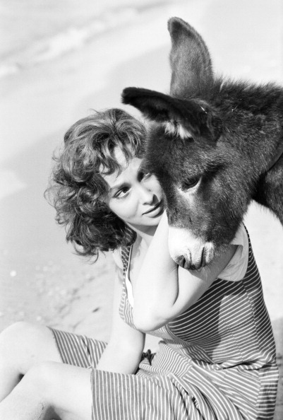 Gina Lollobrigida