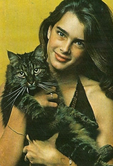 Brooke Shields