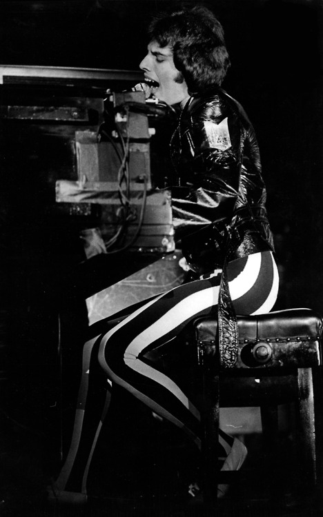 Freddie Mercury Freddie Mercury