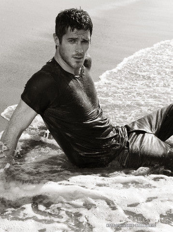 Dave Annable picture