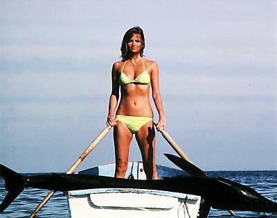 Cheryl Tiegs
