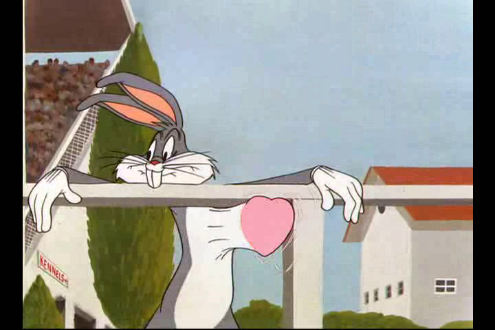 The Grey Hounded Hare