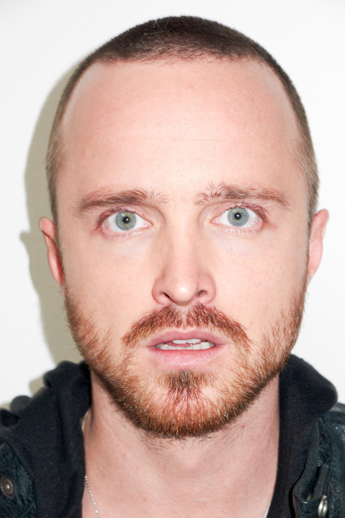Aaron Paul Aaron Paul