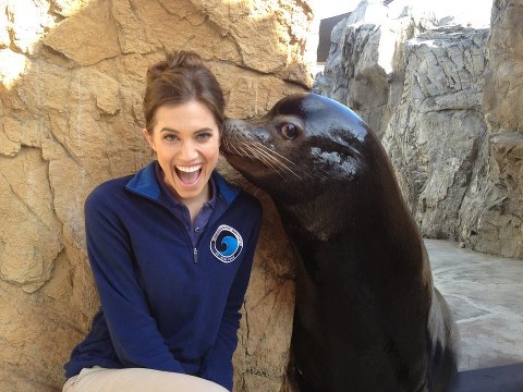 Allison Williams