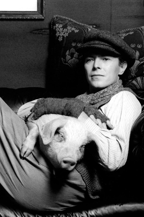 David Bowie