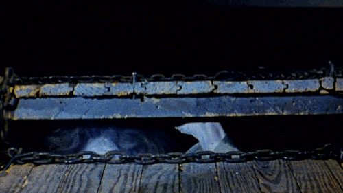 The Evil Dead The Evil Dead