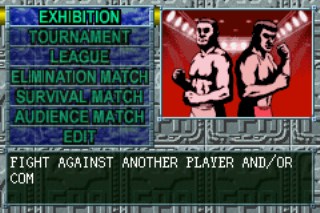 Fire Pro Wrestling