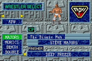 Fire Pro Wrestling