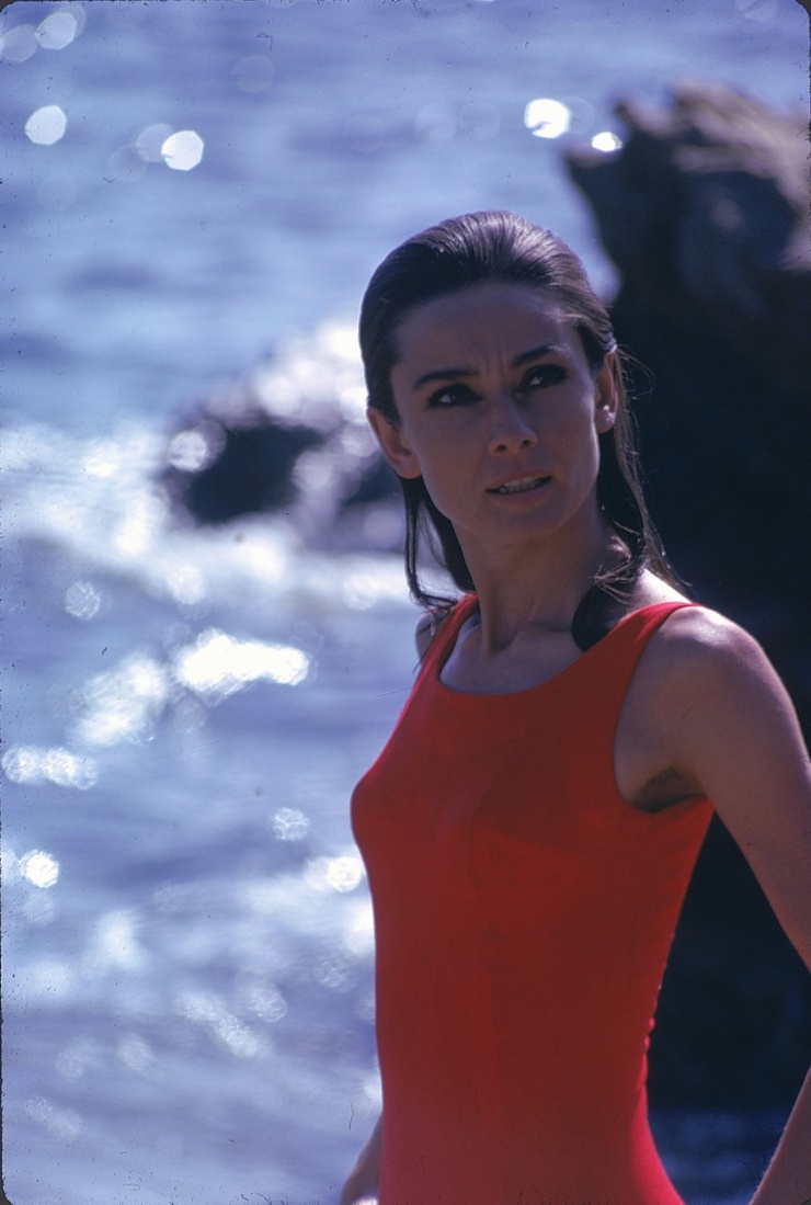 Audrey Hepburn Audrey Hepburn