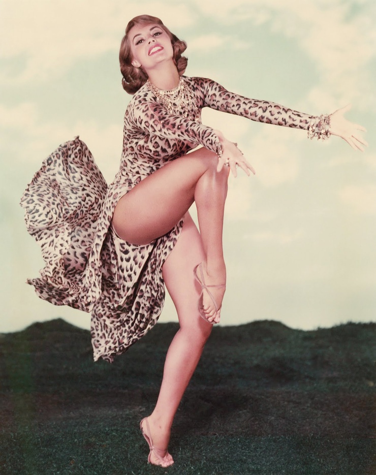 Party Girl (1958) Party Girl (1958)