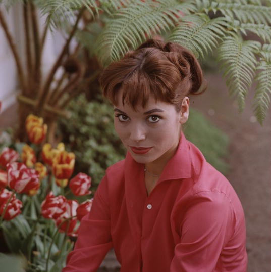 Elsa Martinelli Elsa Martinelli