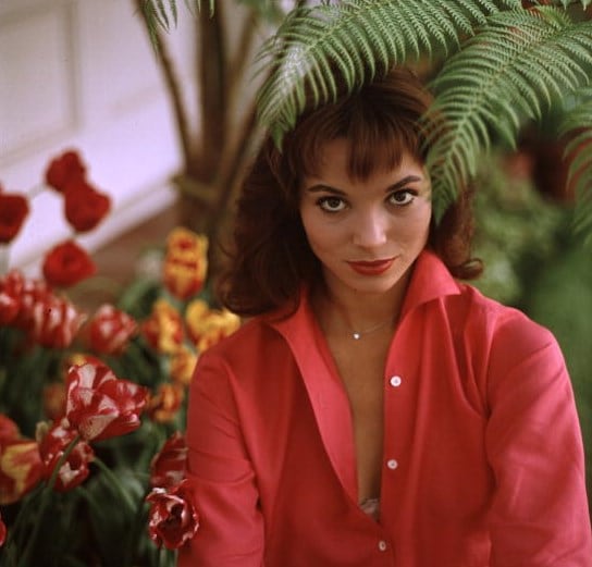 Elsa Martinelli