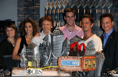 CSI: NY (2004 - 2013)