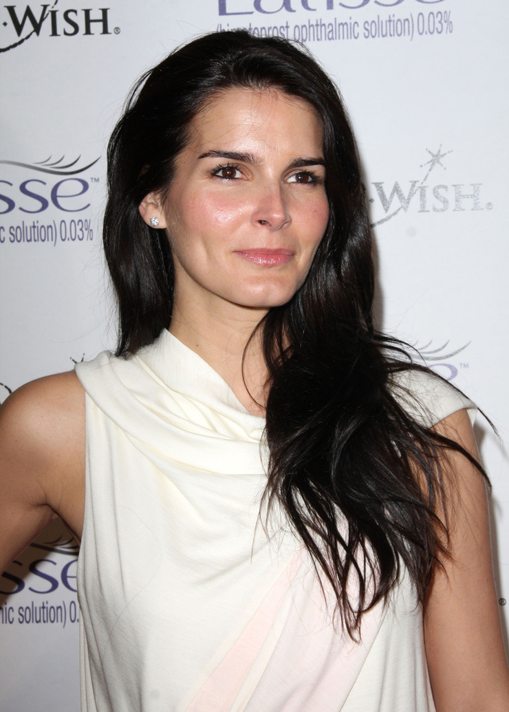 Angie Harmon