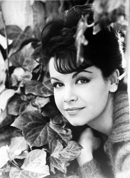 Annette Funicello image