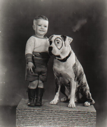 Pete the Dog Pete the Dog