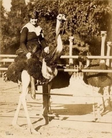 Olive Thomas Olive Thomas
