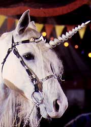The Little Unicorn