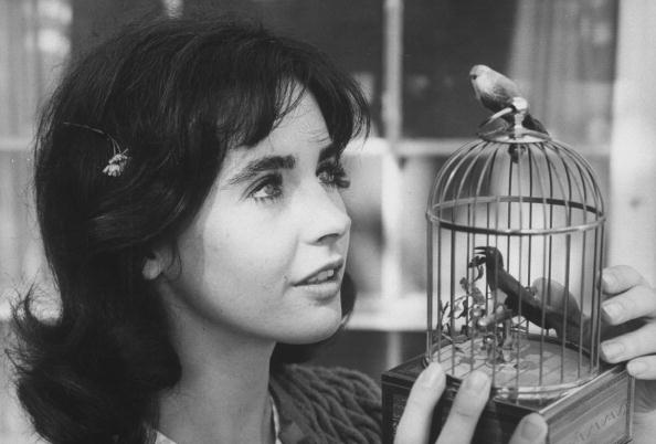 Millie Perkins Millie Perkins