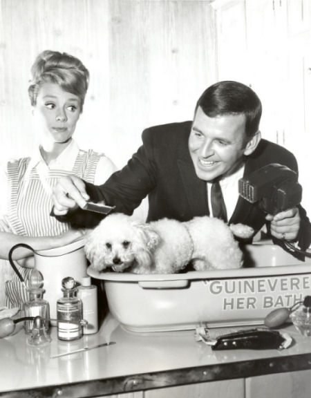 Inger Stevens Inger Stevens