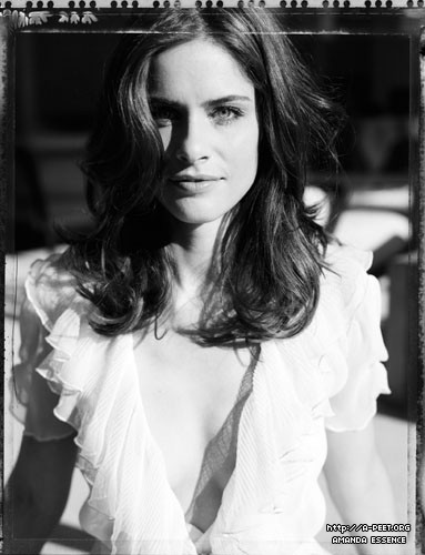 Amanda Peet