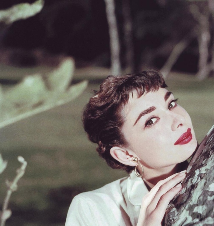 Audrey Hepburn Audrey Hepburn