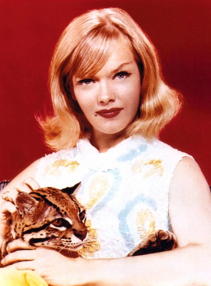 Anne Francis Anne Francis