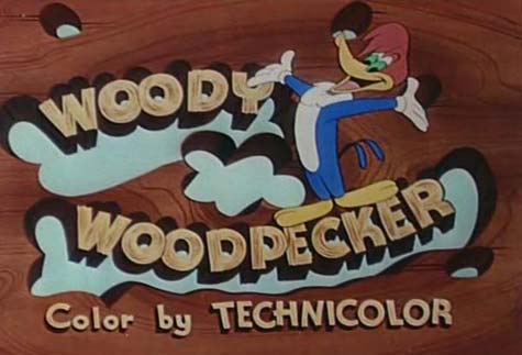 the woody woodpecker show 1990