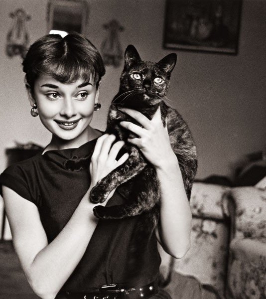 Audrey Hepburn Audrey Hepburn