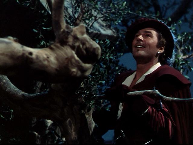 Adventures of Don Juan