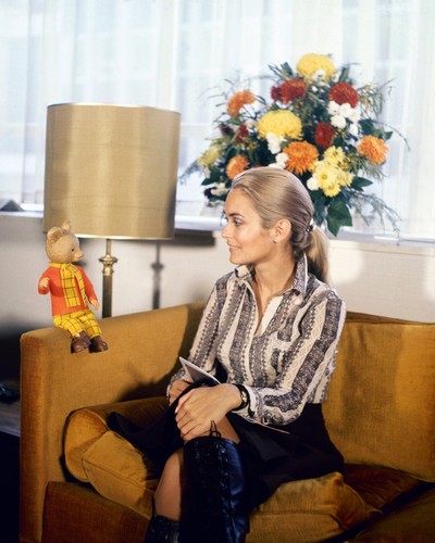 Alexandra Bastedo Alexandra Bastedo