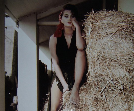 Sophia Loren